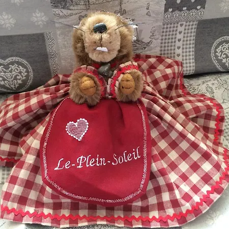 Plein Soleil 3* Allos